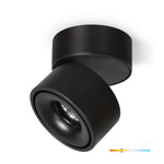 Ceiling fixture LAHTI dim 13,5W 3000K black Art of Light