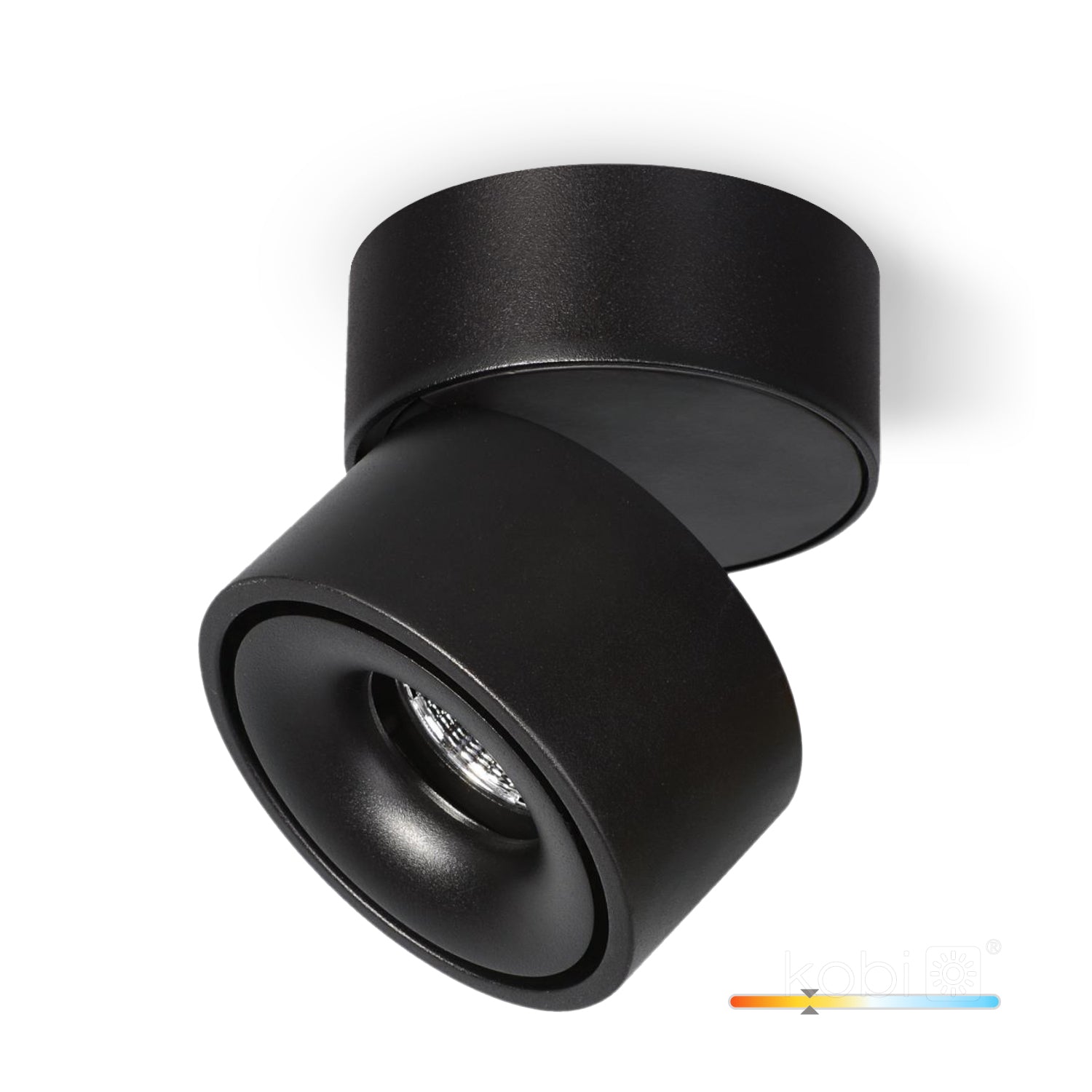 Ceiling fixture LAHTI dim 13,5W 3000K black Art of Light