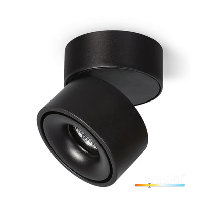 Ceiling fixture LAHTI dim 13,5W 3000K black Art of Light