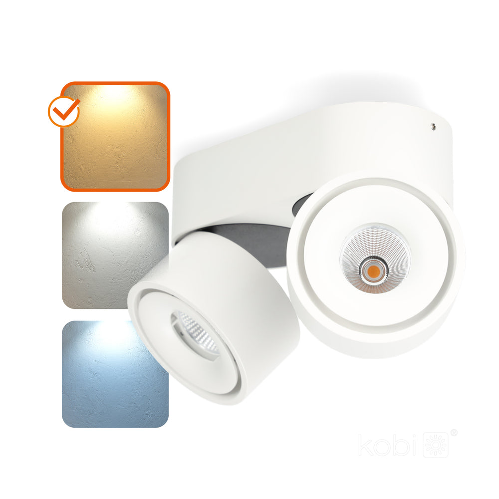 Ceiling fixture LAHTI mini dim 2x9W 3000K white Art of Light
