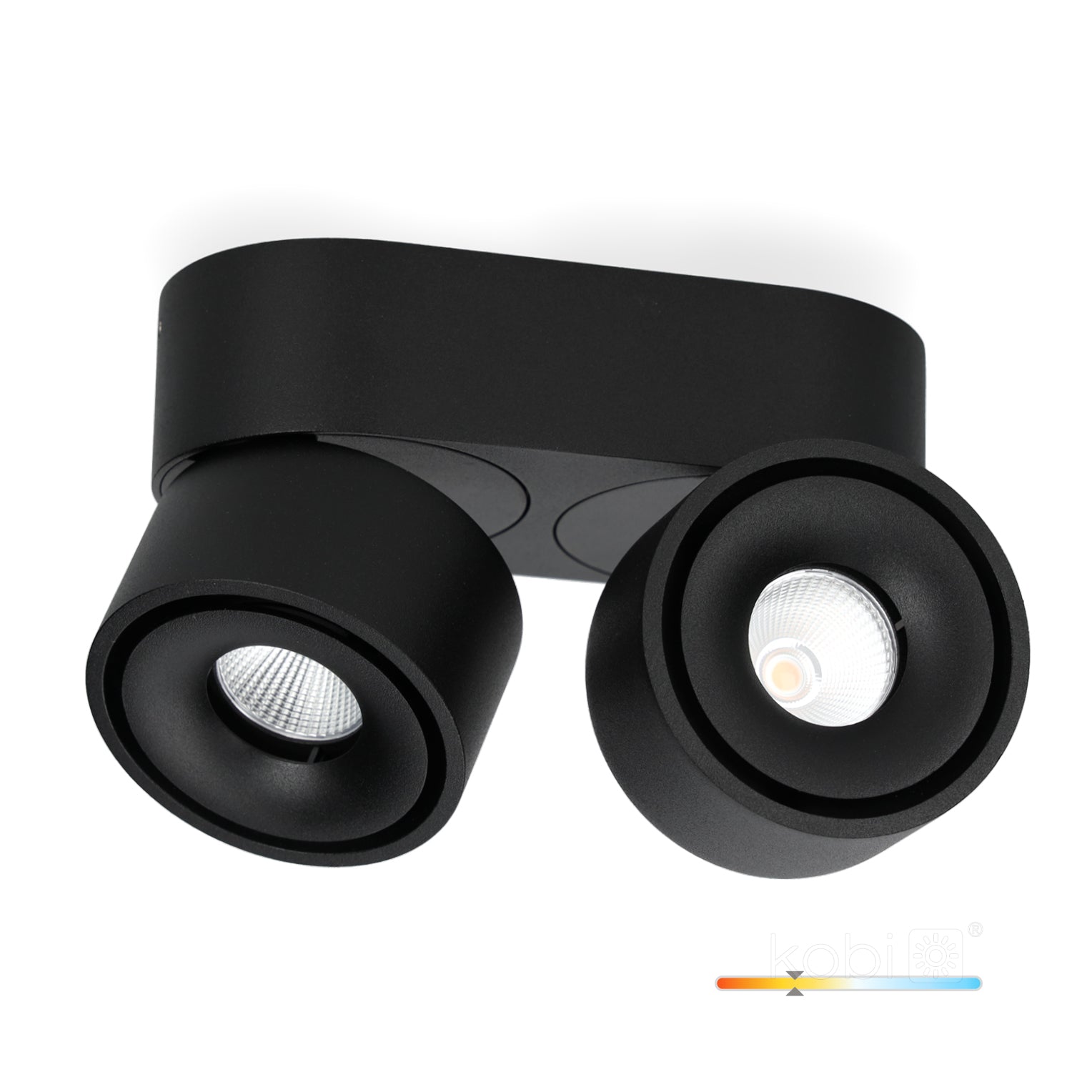 Ceiling fixture LAHTI mini dim 2x9W 3000K black Art of Light