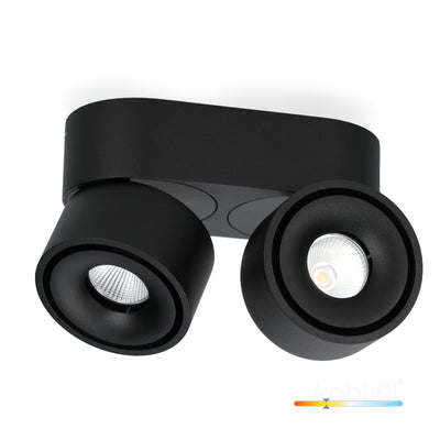 Ceiling fixture LAHTI mini dim 2x9W 3000K black Art of Light