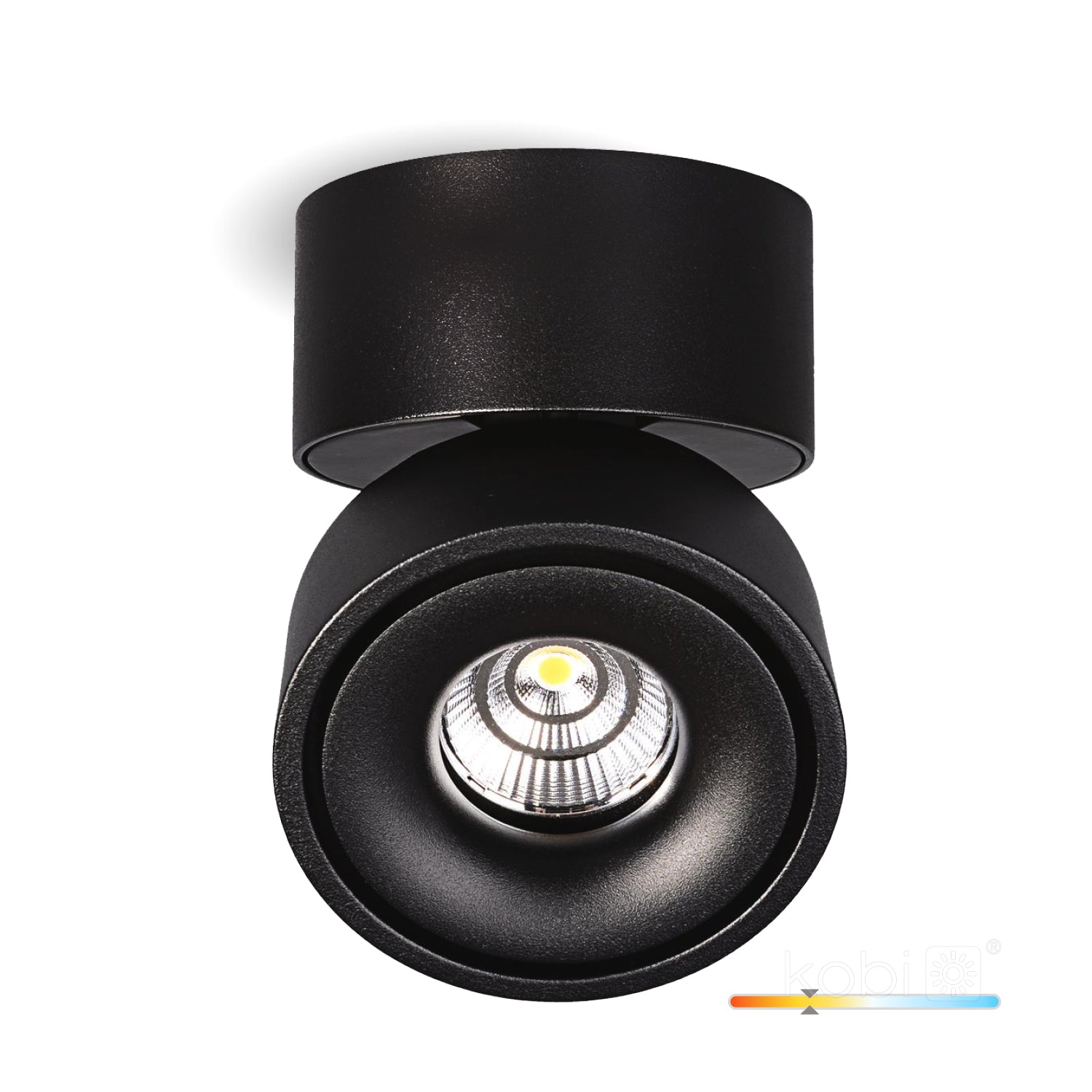 Ceiling fixture LAHTI mini dim 9W 3000K black Art of Light