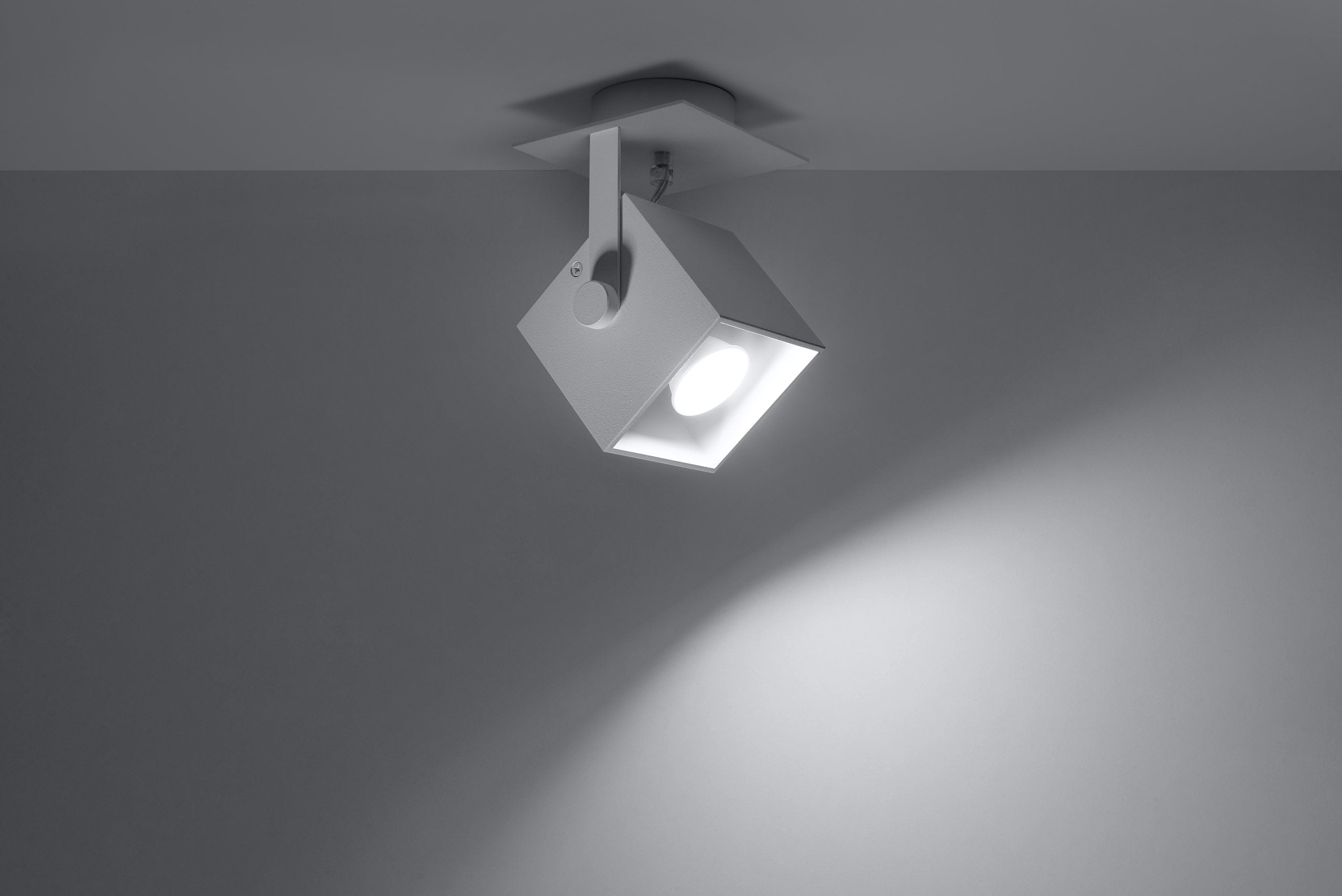 CEDRA 1 white ceiling lamp