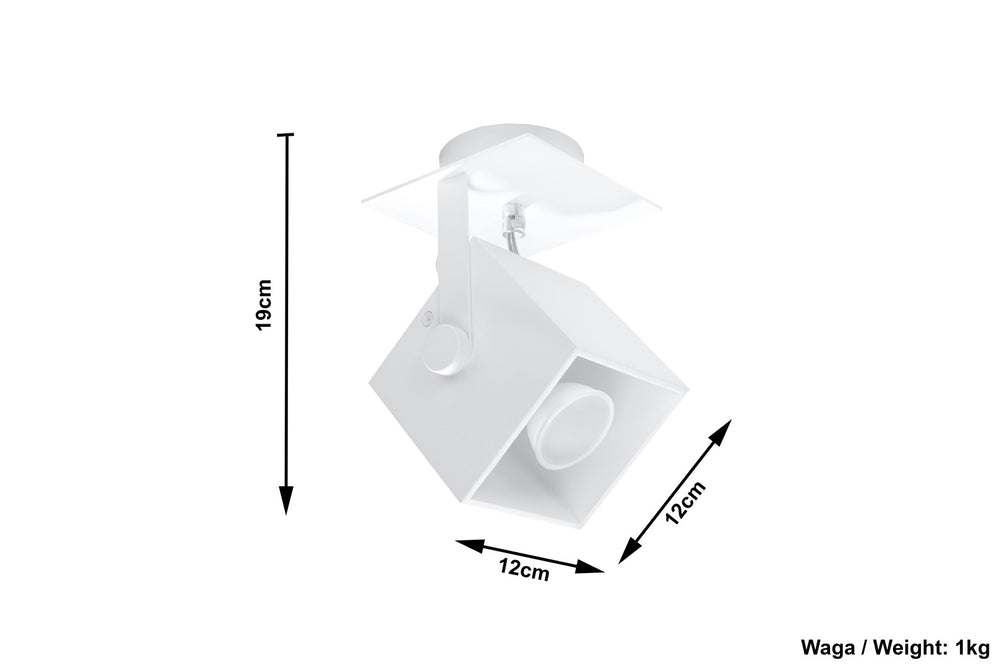 CEDRA 1 white ceiling lamp
