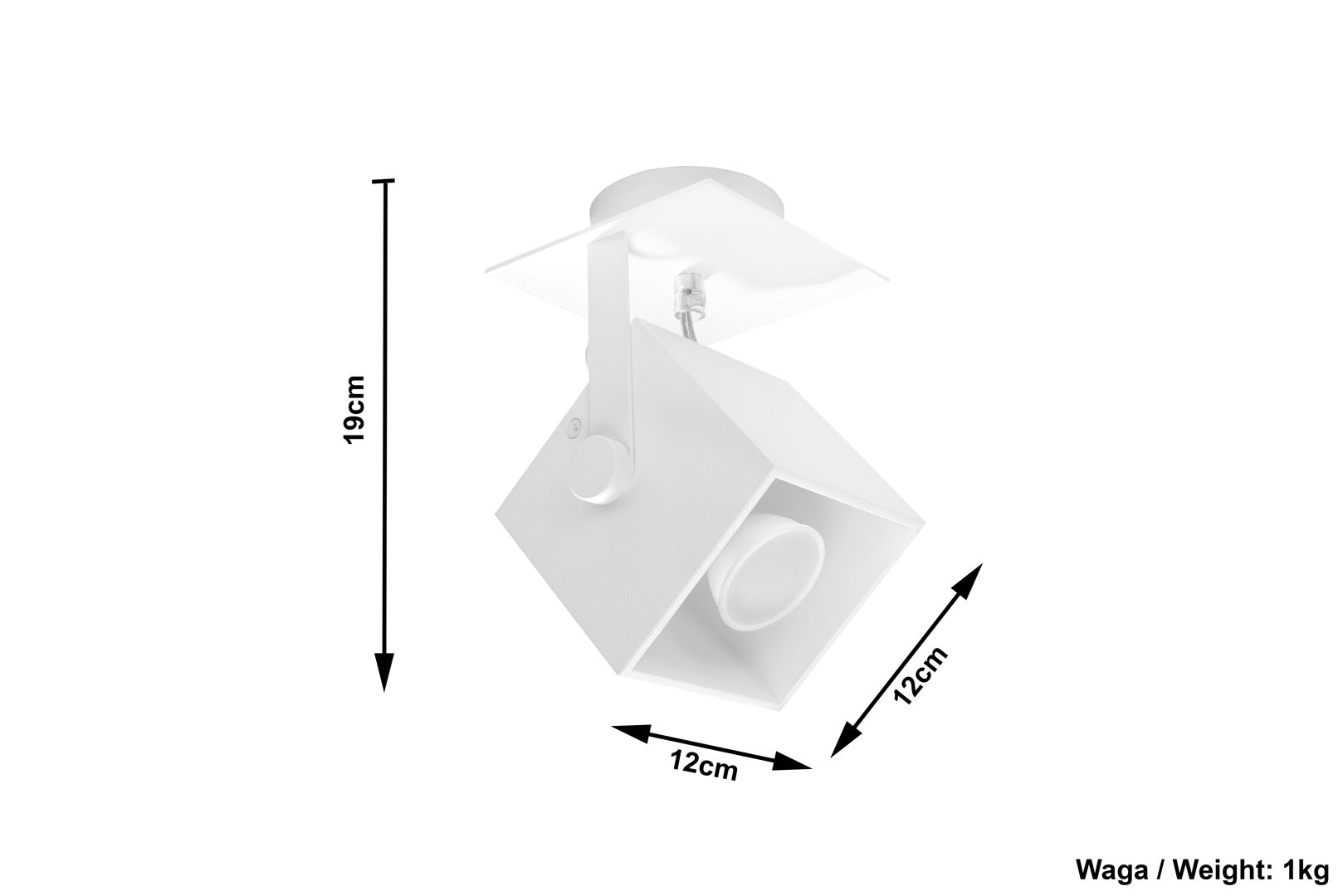 CEDRA 1 white ceiling lamp