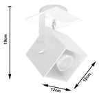 CEDRA 1 white ceiling lamp