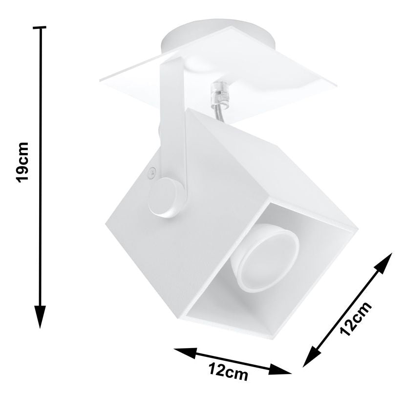 CEDRA 1 white ceiling lamp