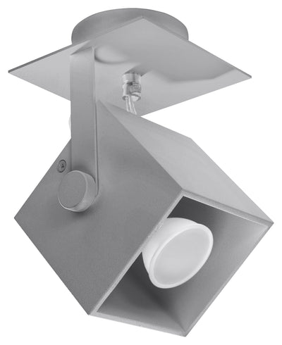 Ceiling lamp CEDRA 1 gray
