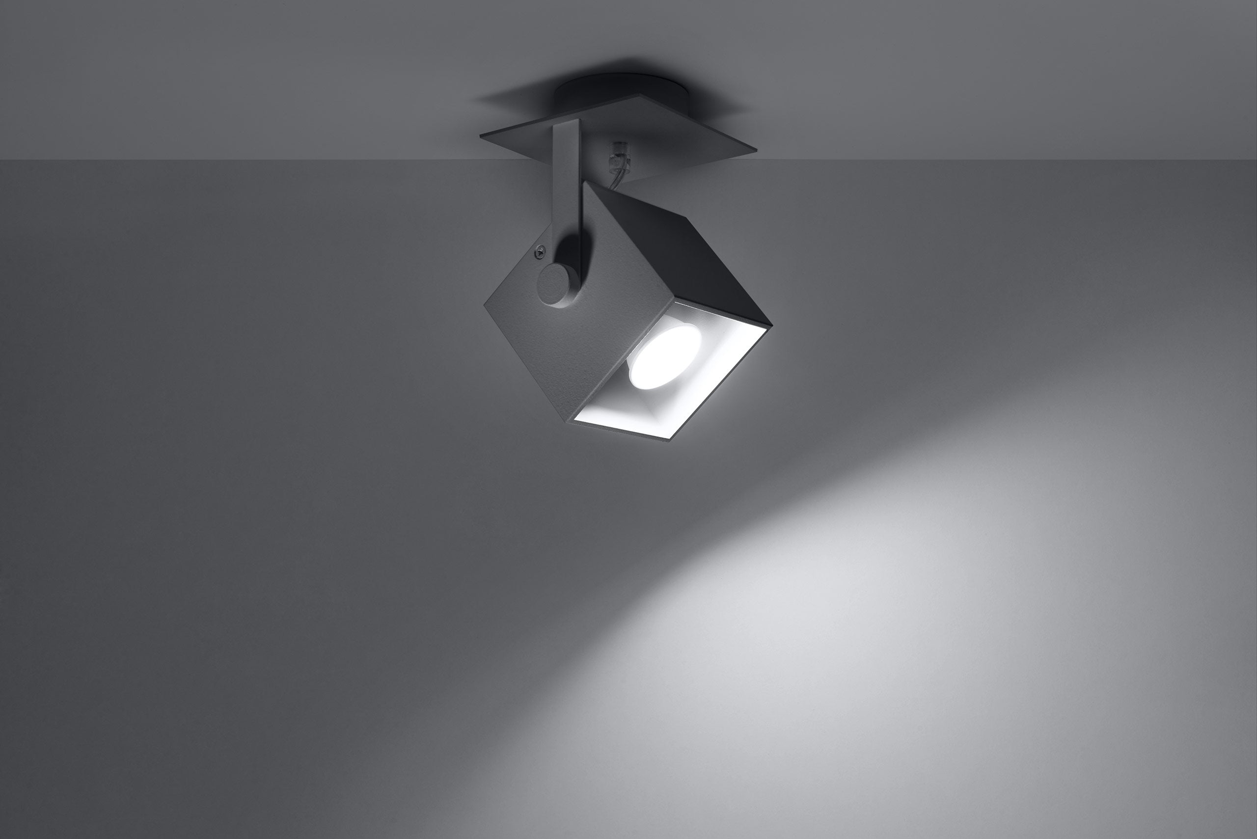 Ceiling lamp CEDRA 1 gray