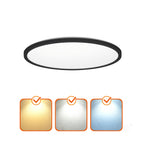 Ceiling lamp LED NIVERA CIRCLE 24W 3CCT IP54 black Kobi Premium