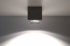 SEIDA ceiling lamp gray