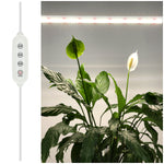 Power cord with LED controller GROWLY PC 3M Kobi Design