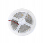 LED COMFORT 300 2835 IP20 6000K 5M 14W/M