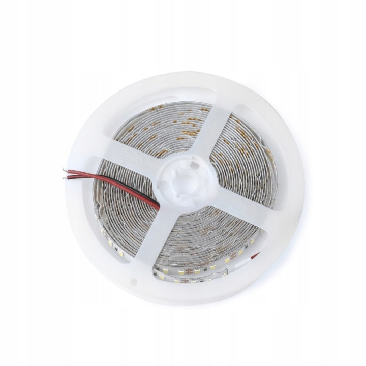 LED COMFORT 300 2835 IP20 6000K 5M 14W/M