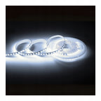 LED COMFORT 300 2835 IP20 6000K 5M 14W/M