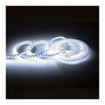 LED COMFORT 300 2835 IP20 6000K 5M 14W/M