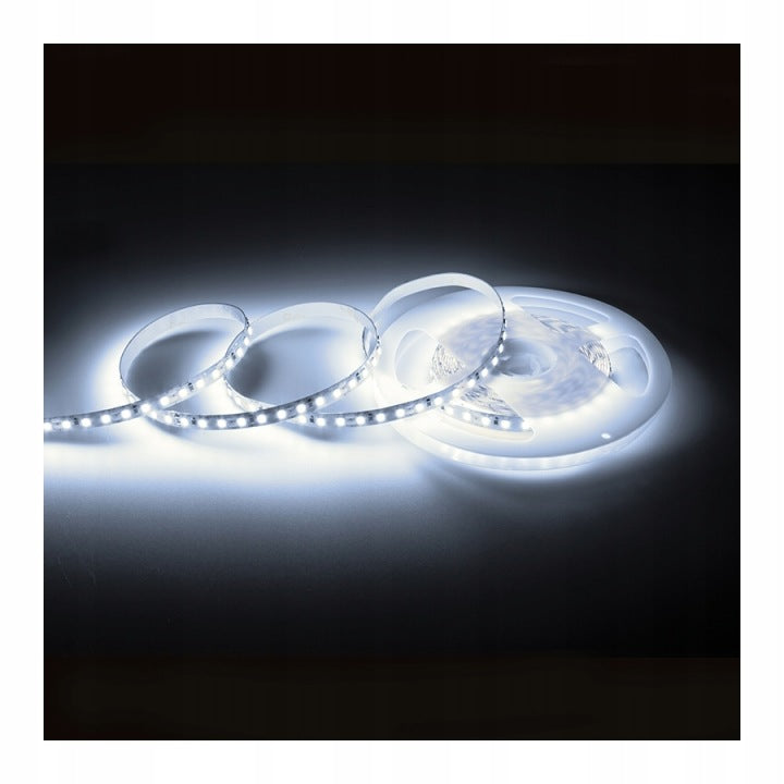 LED COMFORT 300 2835 IP20 6000K 5M 14W/M
