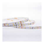 LED COMFORT 300 2835 IP20 6200K 5M 9W/M