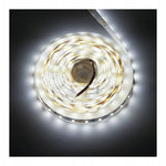 LED COMFORT 300 2835 IP20 6200K 5M 9W/M
