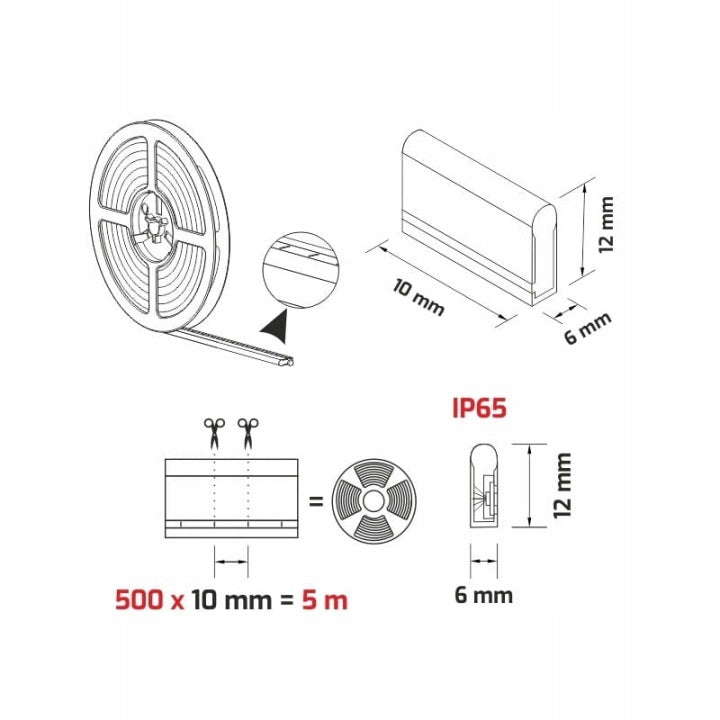 LED NEON FLEX IP65 6000K 5M 11W/M