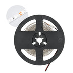 LED strip TRAMO 300 2835 5m green IP65 Kobi