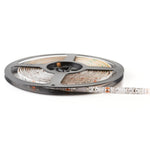 LED strip TRAMO 300 2835 5m green IP65 Kobi