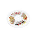 LED strip TRAMO 320 COB 5m 6500K IP20 Kobi Premium