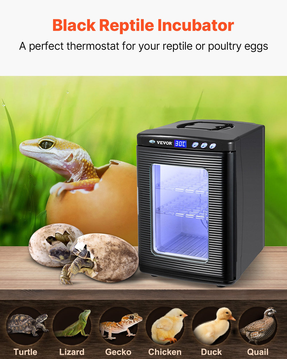 VEVOR Black Reptile Incubator 25L Scientific Lab Incubator Digital Incubator Cooling and Heating 5-42°C Reptile Egg Incubator 12V/110V Work for Small Reptiles