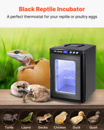 VEVOR Black Reptile Incubator 25L Scientific Lab Incubator Digital Incubator Cooling and Heating 5-42°C Reptile Egg Incubator 12V/110V Work for Small Reptiles