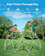 VEVOR Climbing Dome, 305cm Geometric Dome Climber, 453kg Loading Jungle Gym Playground with 2 Basketballs & Octopus Net, Easy-Assembly Outdoor Backyard Climbing Equipment for Kids 3 to 10 Years Old