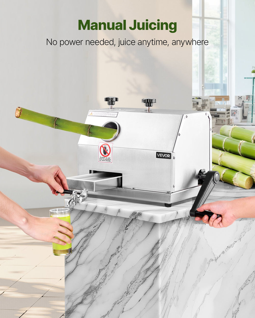 VEVOR Commercial Sugar Cane Juicer Machine 50 kg/h Output 3 Rollers 62 mm Inlet