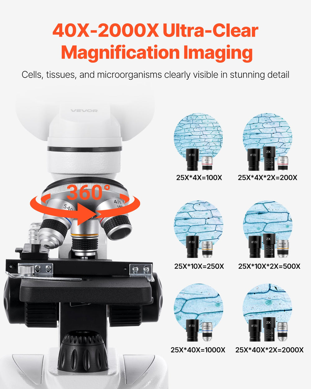 VEVOR Binocular Microscope for Adult, Professional Compound Microscope Kit with 40-2000X Magnification, Aluminum Alloy Body, Includes LED Light and Phone Holder, for Lab, School, Home, Education
