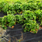 VEVOR 182.9 x 9144 cm Heavy Duty PP Woven Weed Barrier Landscape Ground Cover 68 g