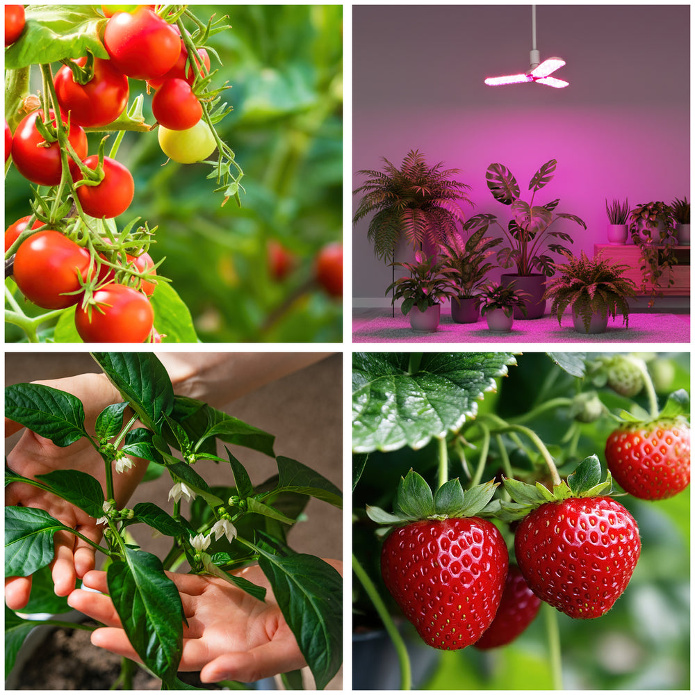 LED grow bulb LED PLANTY E27 24W Kobi Design