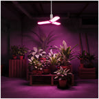 LED grow bulb LED PLANTY E27 24W Kobi Design