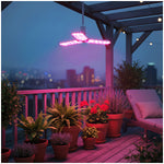 LED grow bulb LED PLANTY E27 24W Kobi Design