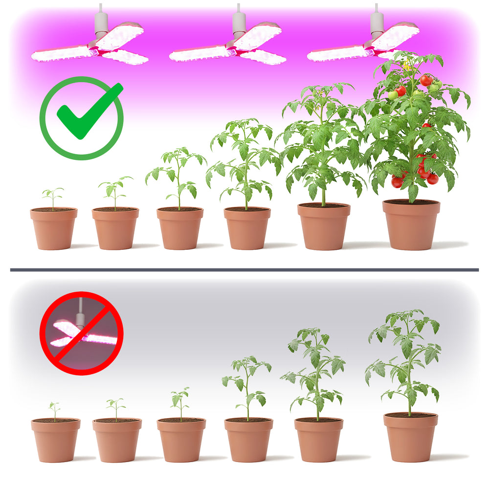 LED grow bulb LED PLANTY E27 24W Kobi Design