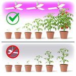 LED grow bulb LED PLANTY E27 24W Kobi Design