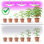 LED grow bulb LED PLANTY E27 40W Kobi Design