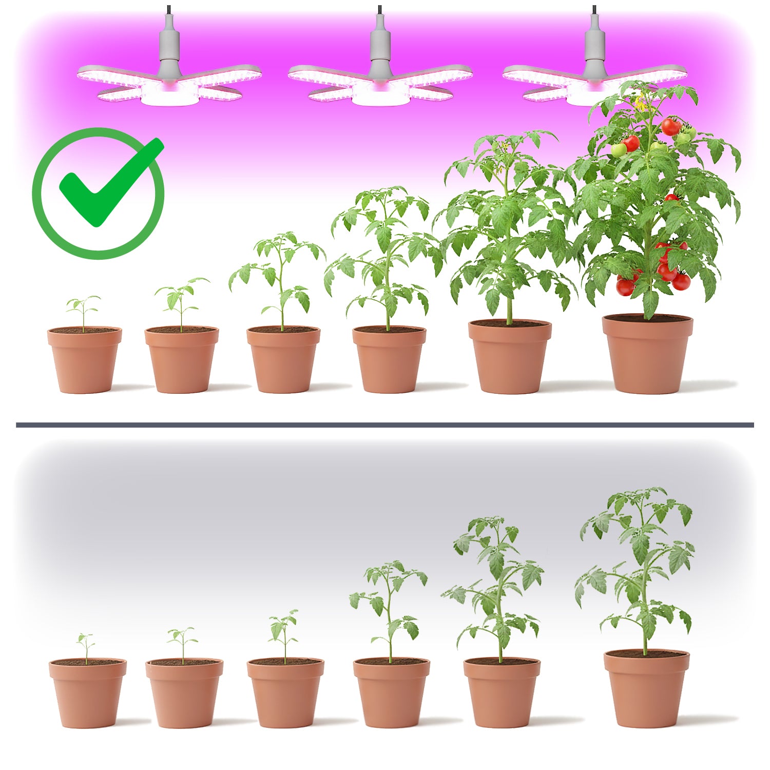 LED grow bulb LED PLANTY E27 40W Kobi Design
