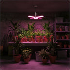 LED grow bulb LED PLANTY E27 40W Kobi Design