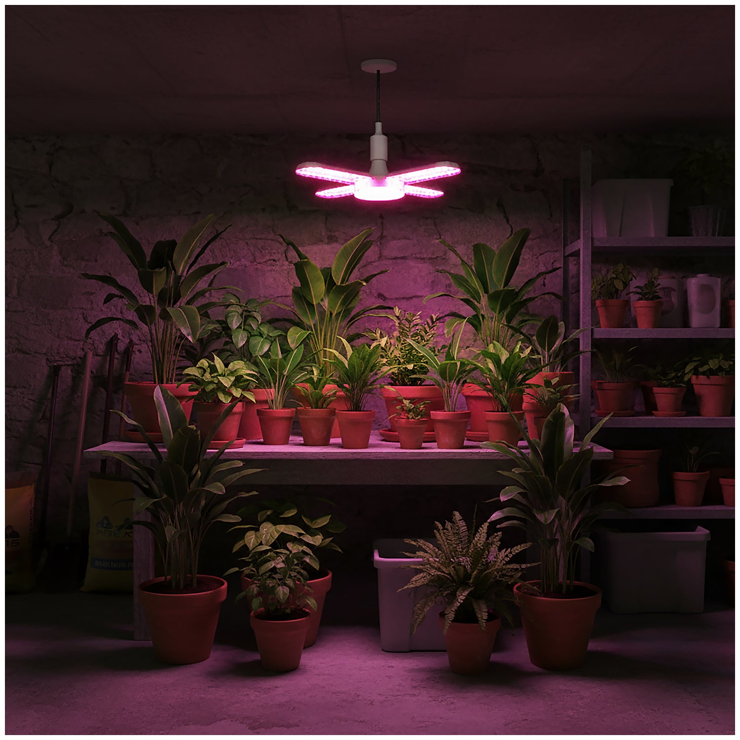 LED grow bulb LED PLANTY E27 40W Kobi Design