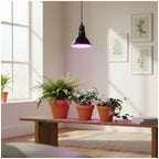 LED grow bulb LED PLANTY B E27 7W E27 1200K Black Kobi Design
