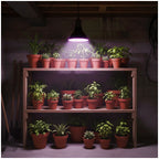 LED grow bulb LED PLANTY B E27 7W E27 1200K Black Kobi Design
