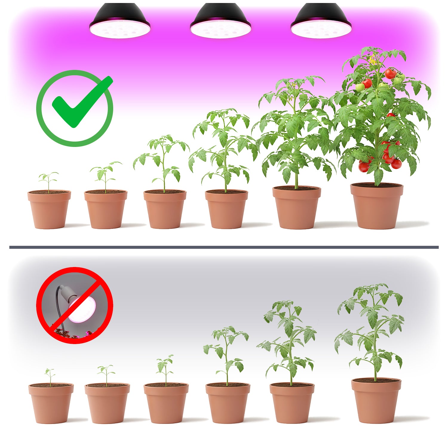 LED grow bulb LED PLANTY B E27 7W E27 1200K Black Kobi Design