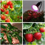 LED grow bulb LED PLANTY B E27 9W E27 1200K Black Kobi Desing