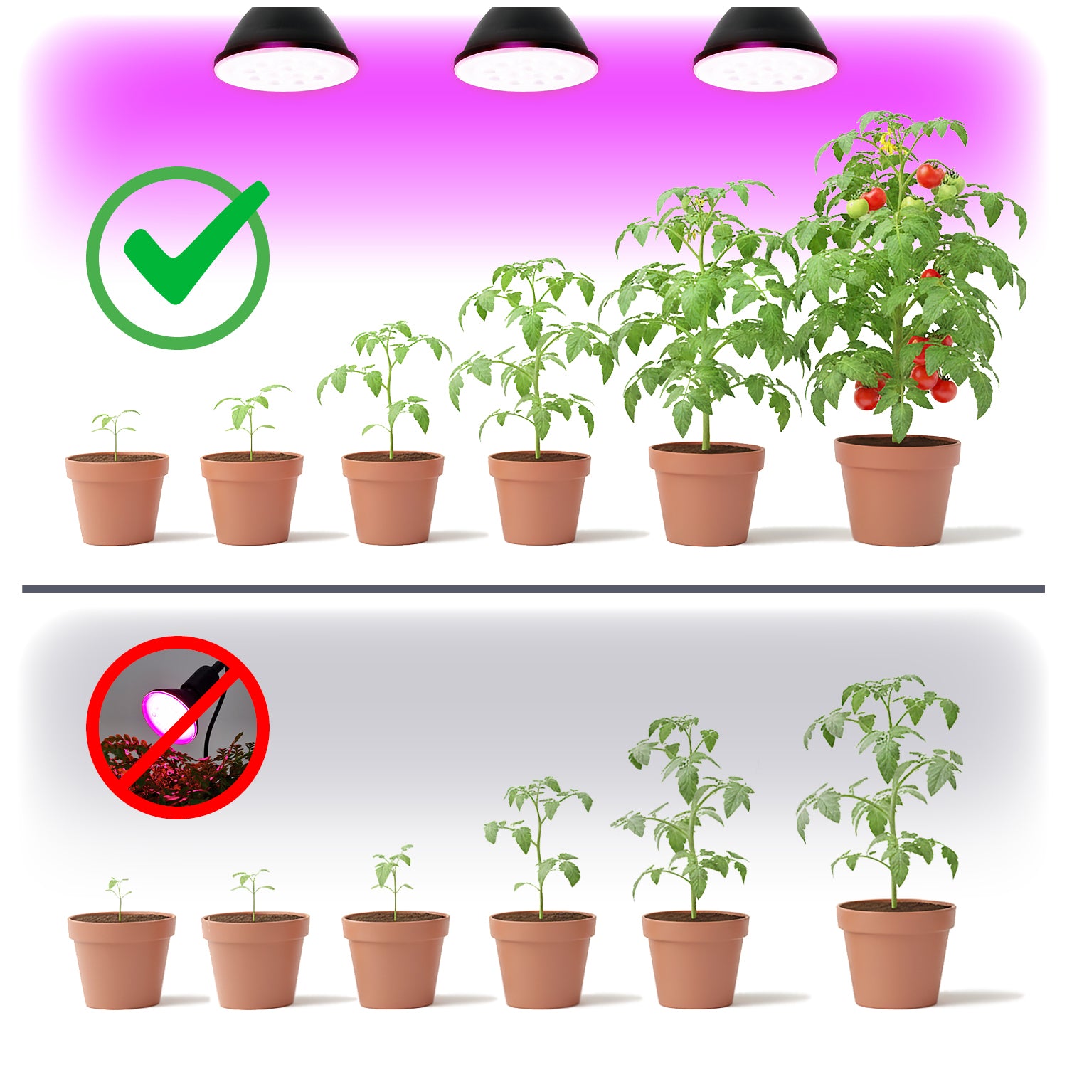 LED grow bulb LED PLANTY B E27 9W E27 1200K Black Kobi Desing
