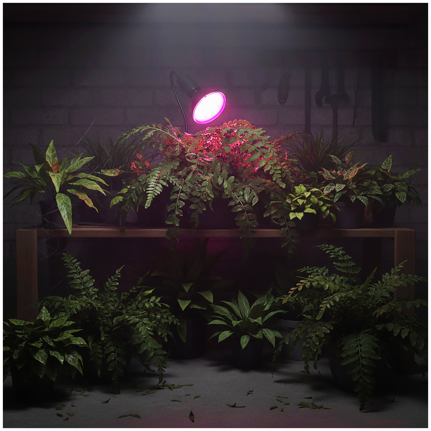 LED grow bulb LED PLANTY B E27 9W E27 1200K Black Kobi Desing