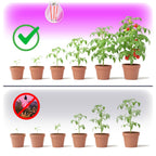 LED grow bulb LED PLANTY FGS 8W E27 1200K Kobi Design